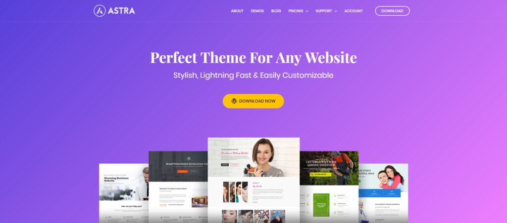 Best feminine wordpress theme for bloggers